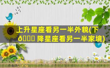 上升星座看另一半外貌(下 🐟 降星座看另一半家境)